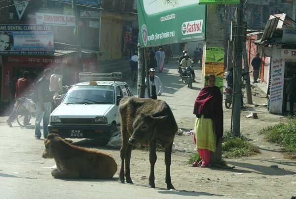 kat2baktapur