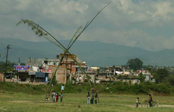 theswing
