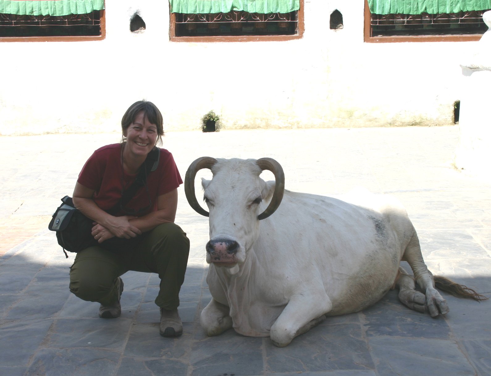 Ldianeandcow