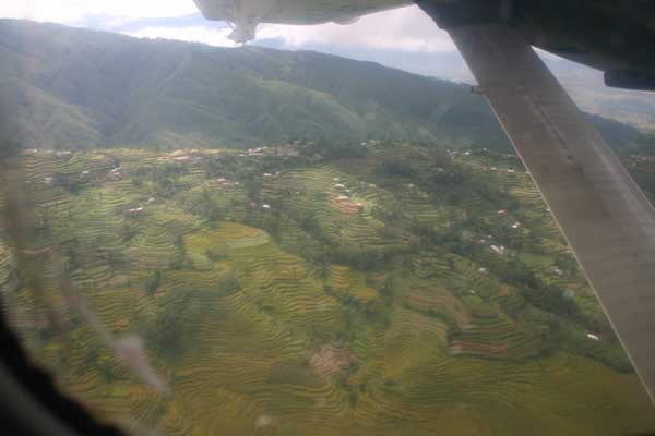 terraced_fields