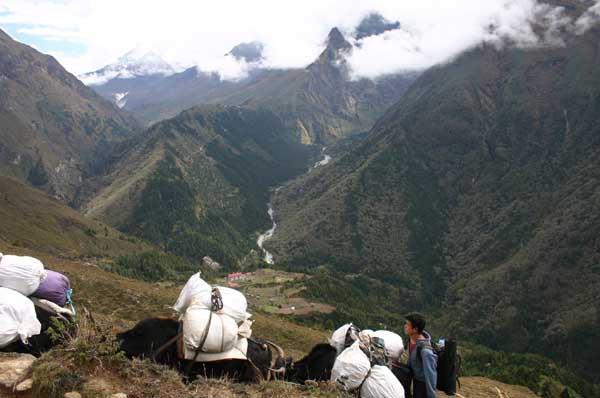 I3956_phunki_khala
