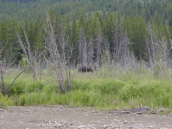 P8090013