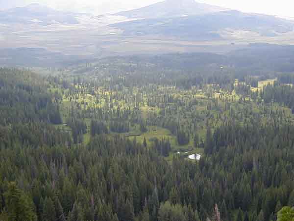 P8110078