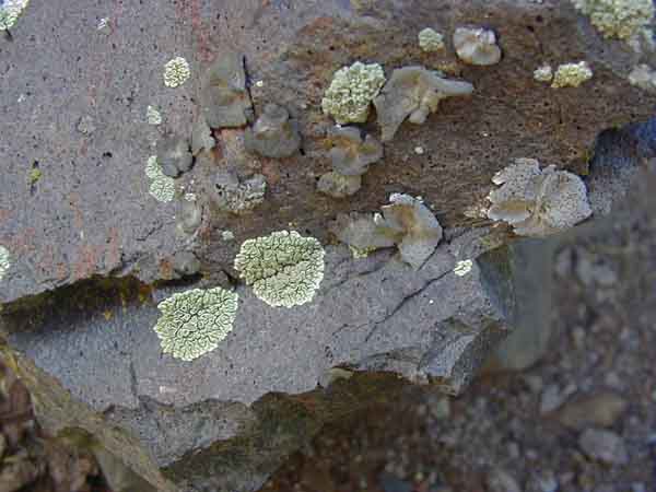 P8110089