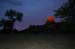 dtsunrise3.jpg