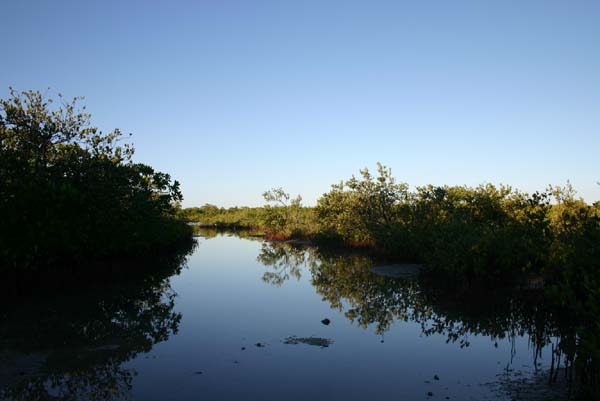 Copy of IMG_0673