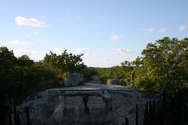 Copy of IMG_0678
