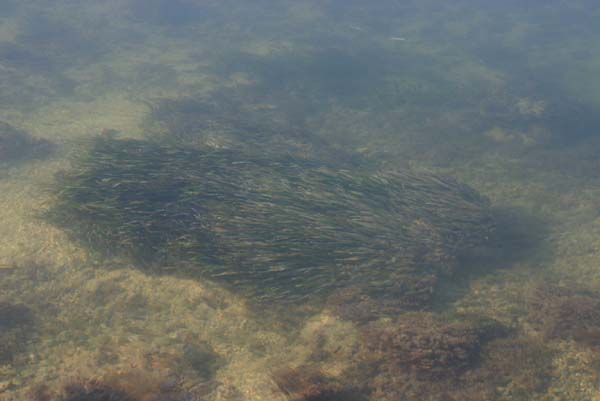 Copy of IMG_0680