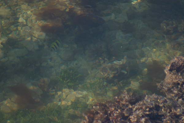 Copy of IMG_0682