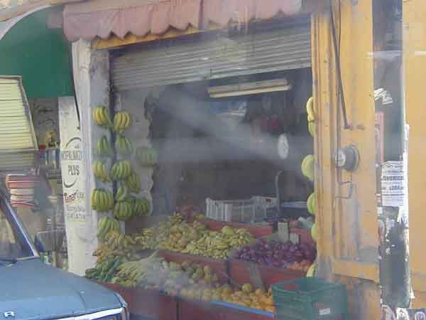 P1010003