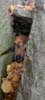 gusinhole