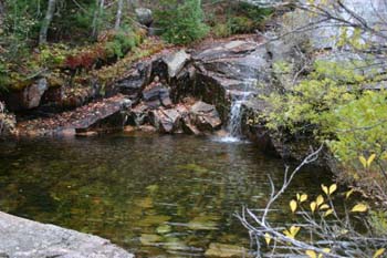 acadiapool