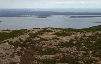 dorrmtn