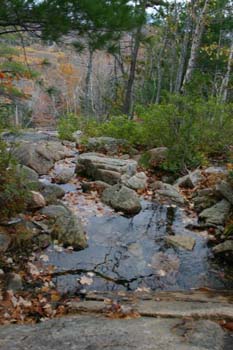 stream1