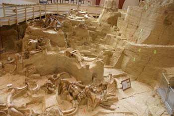 bigdig