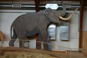 size