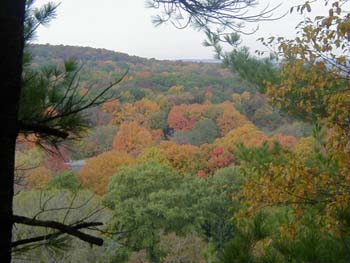 wisconson_fall