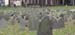 tombstones