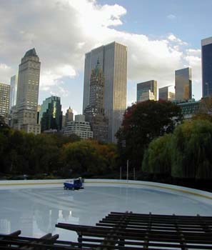 nyview