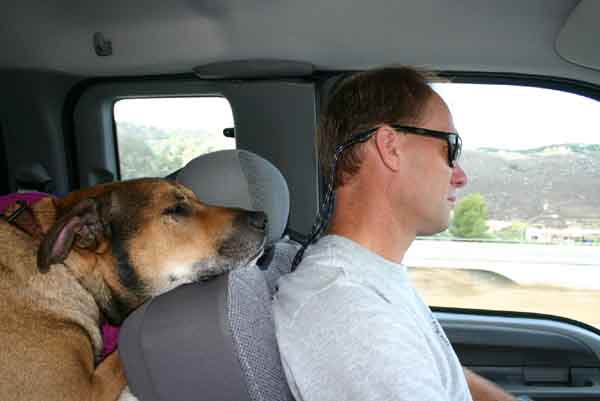 gusriding