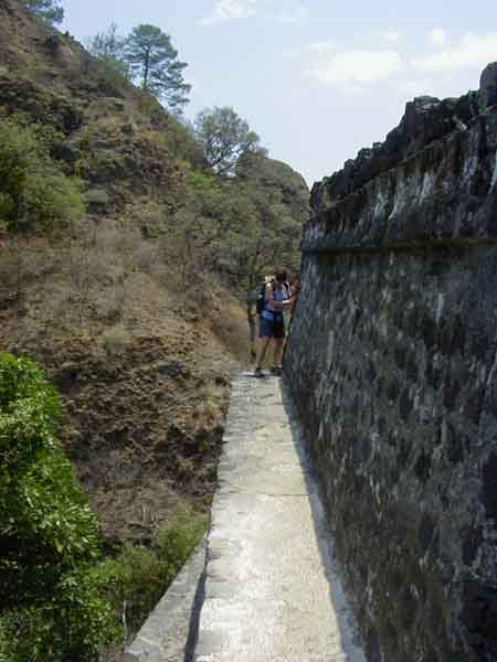 P1010049