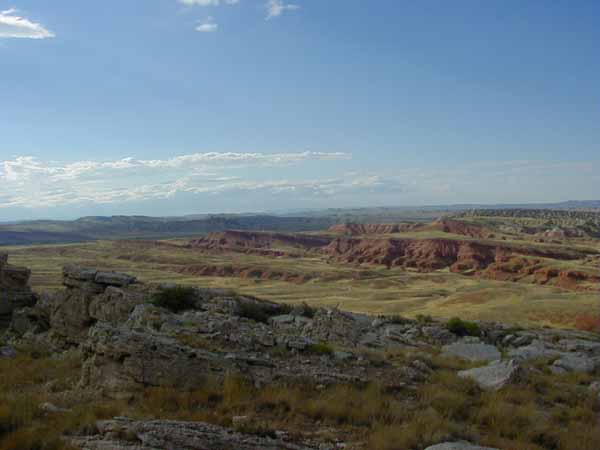 P8030016