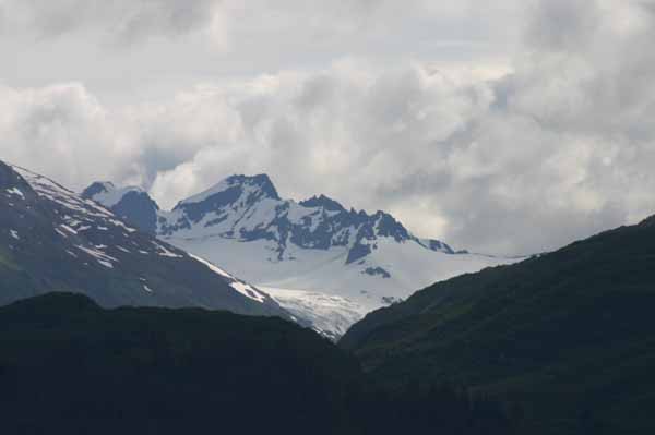 IMG_2645