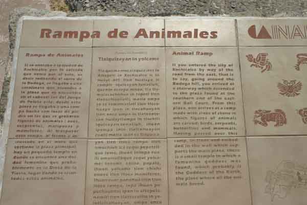 animalramp1