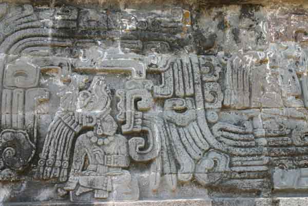 serpent5
